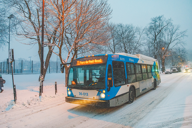 Bus dans la neige